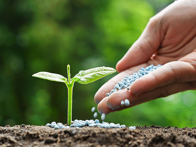 FERTILIZANTES